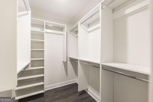 walk in closet with dark wood-style floors