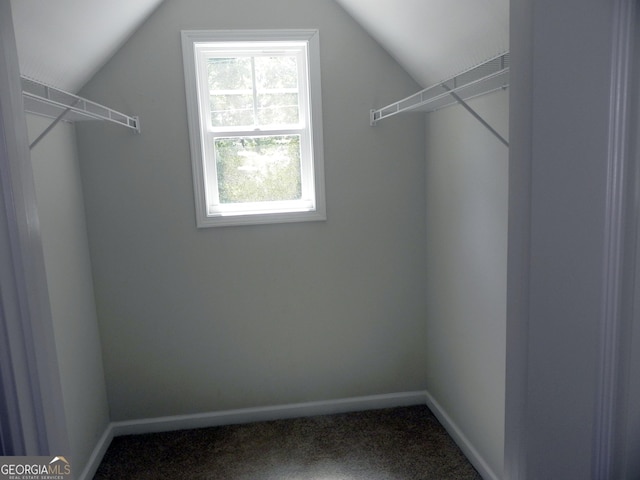 spacious closet with lofted ceiling and carpet flooring