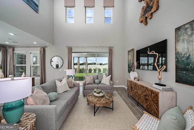 living room featuring hardwood / wood-style flooring and a high ceiling