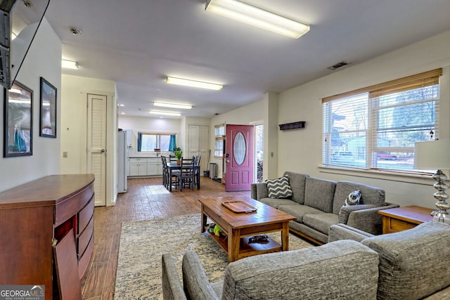 living room featuring wood-type flooring