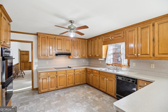 kitchen with crown molding, ceiling fan, sink, and black appliances