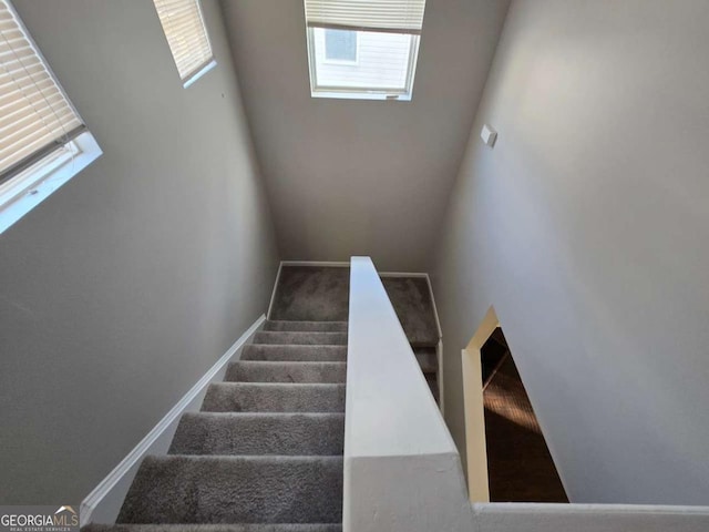 stairway with carpet floors