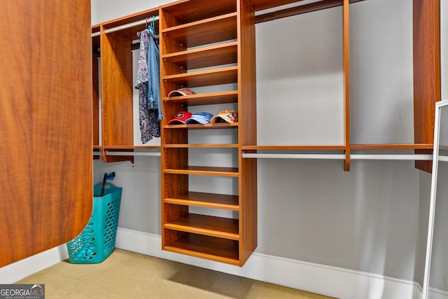 walk in closet with carpet flooring