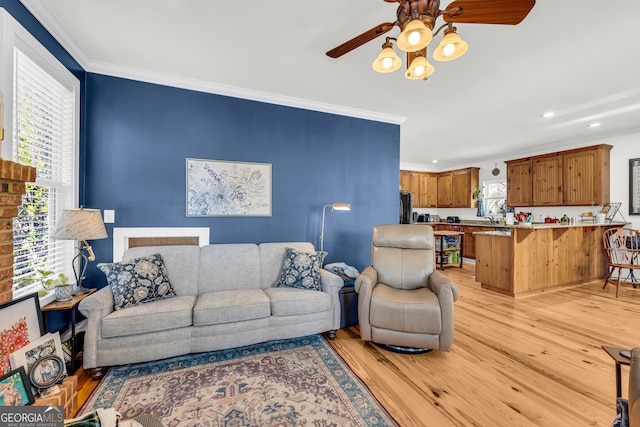 living room featuring ornamental molding, ceiling fan, and light wood-type flooring