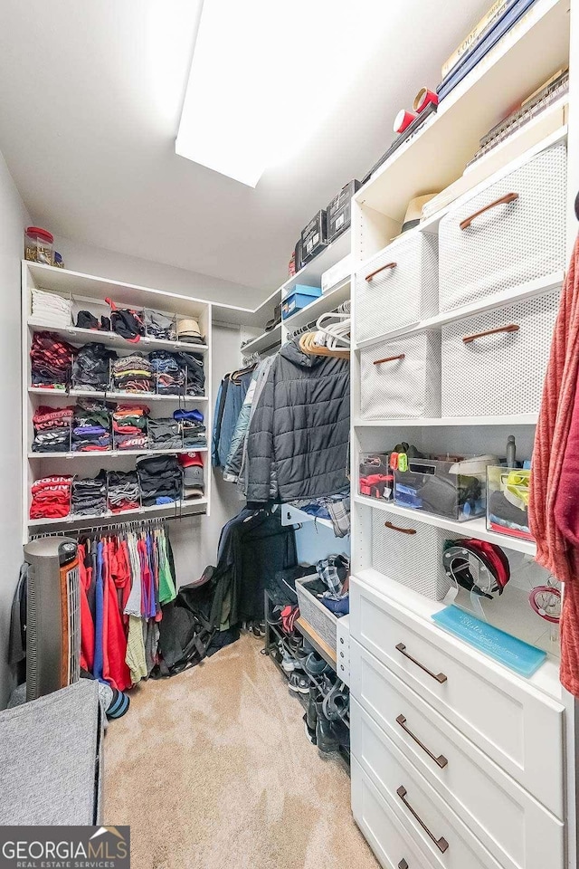 spacious closet with carpet flooring