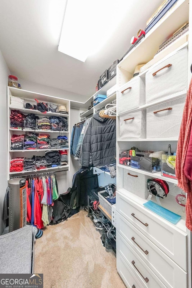 walk in closet with carpet