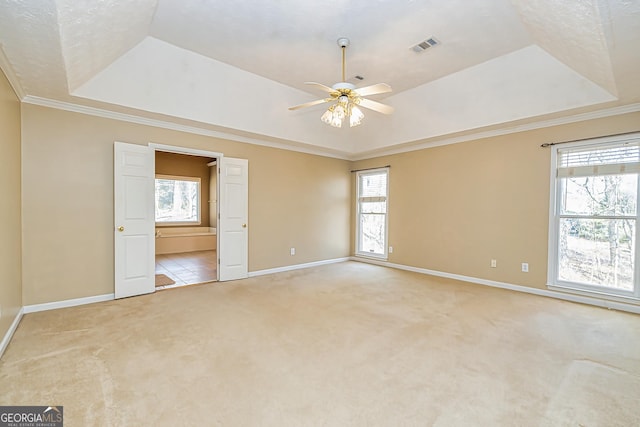 carpeted spare room with a raised ceiling, crown molding, and a wealth of natural light