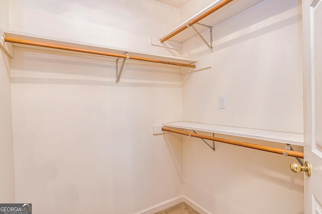 view of walk in closet