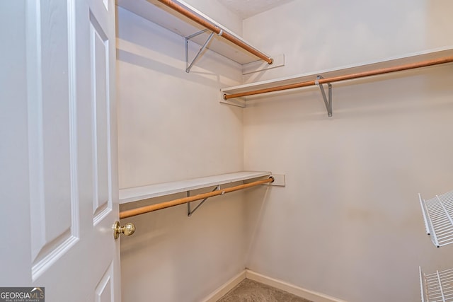 view of spacious closet