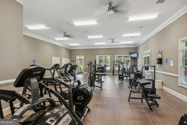 exercise room featuring crown molding, ceiling fan, and hardwood / wood-style flooring