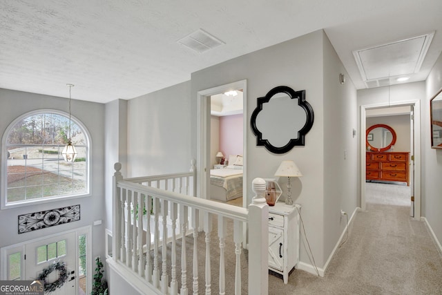 hall featuring light colored carpet and a textured ceiling