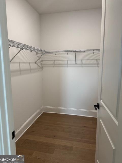walk in closet with wood finished floors