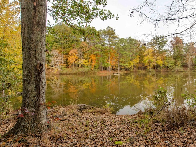 water view with a view of trees
