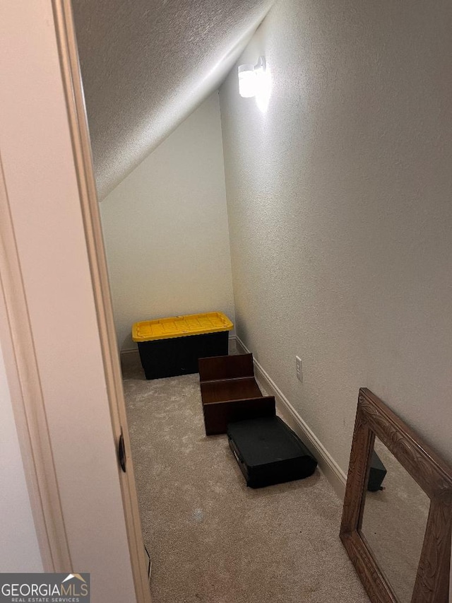 182 Rogers St, Hazlehurst, GA 31539 - exercise area featuring carpet flooring, a textured ceiling, lofted ceiling, a textured wall, and baseboards