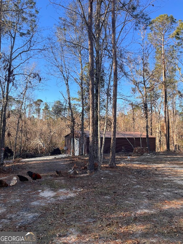 182 Rogers St, Hazlehurst, GA 31539 - view of yard