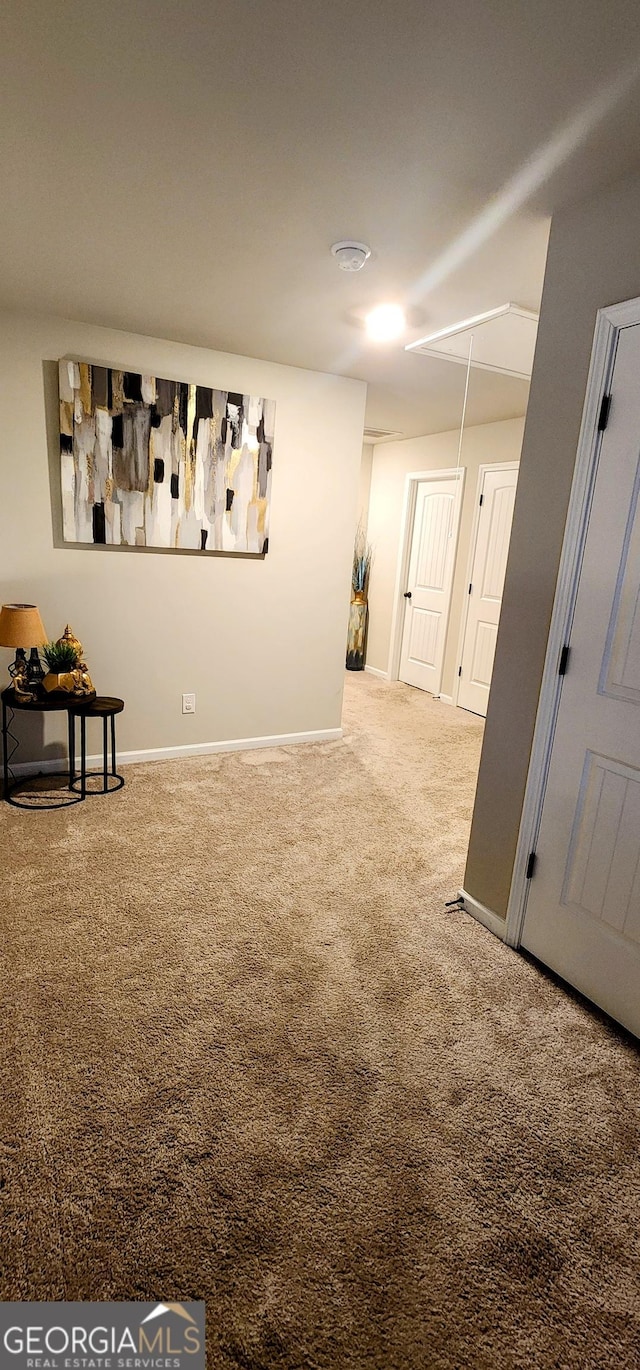 basement featuring carpet floors