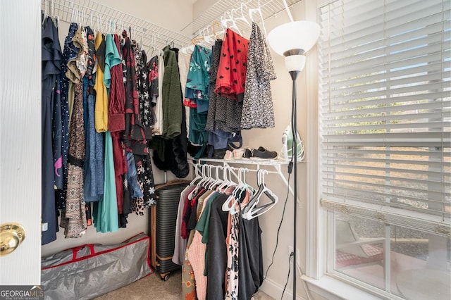 walk in closet with carpet floors