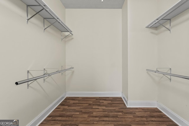 spacious closet featuring wood finished floors