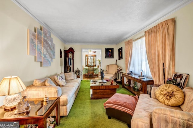 carpeted living room with ornamental molding