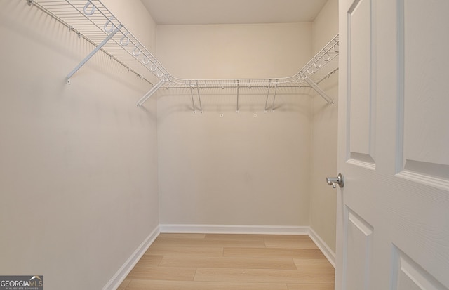 walk in closet featuring light wood-type flooring