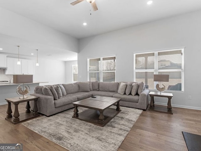 living room featuring ceiling fan and wood-type flooring