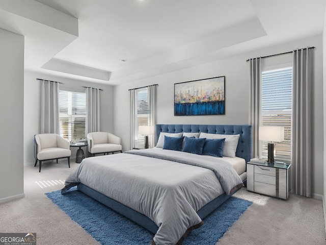 bedroom with a raised ceiling and carpet floors