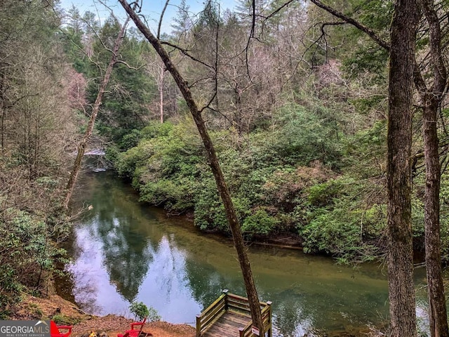425 River Bend Ct, Ellijay, GA 30540 - water view with a forest view