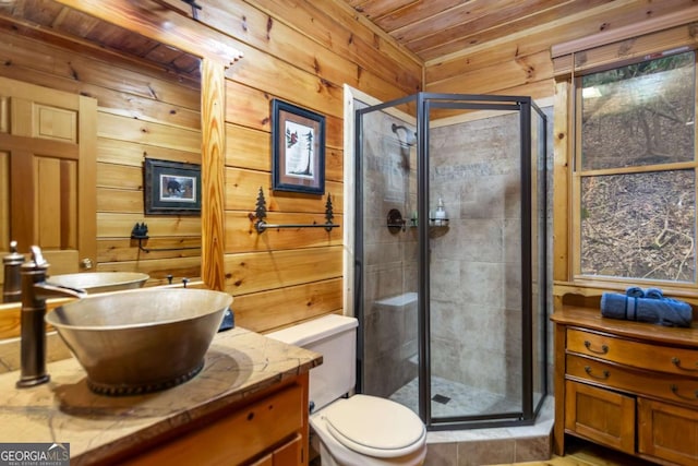 bathroom featuring a shower with door, vanity, wooden walls, and toilet