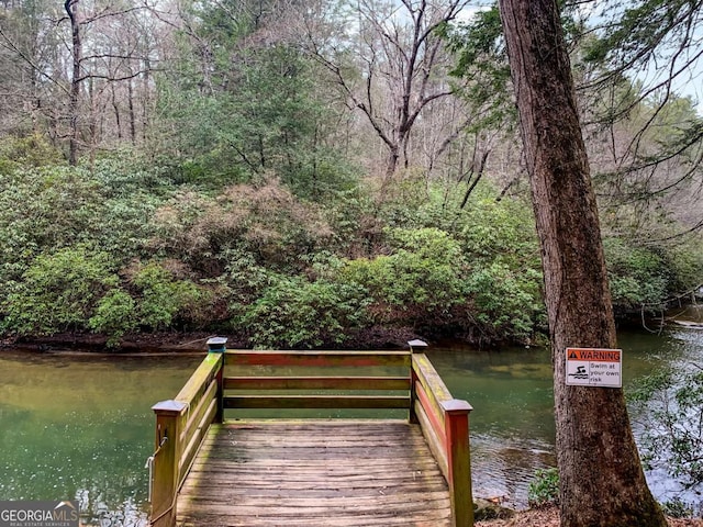 dock area with a water view