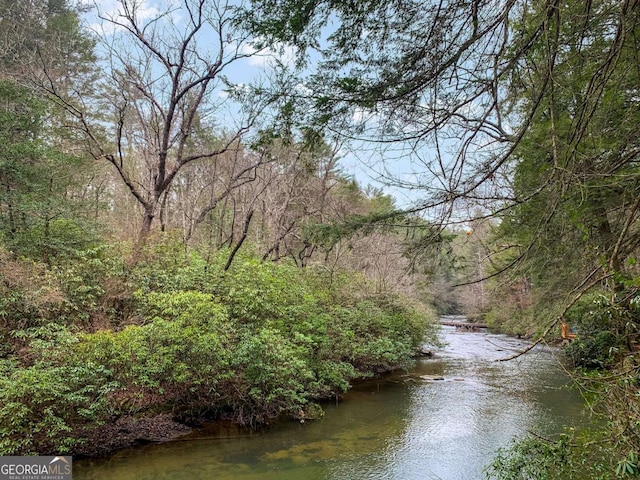 425 River Bend Ct, Ellijay, GA 30540 - water view