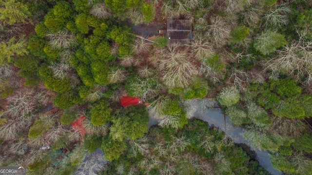 425 River Bend Ct, Ellijay, GA 30540 - bird's eye view