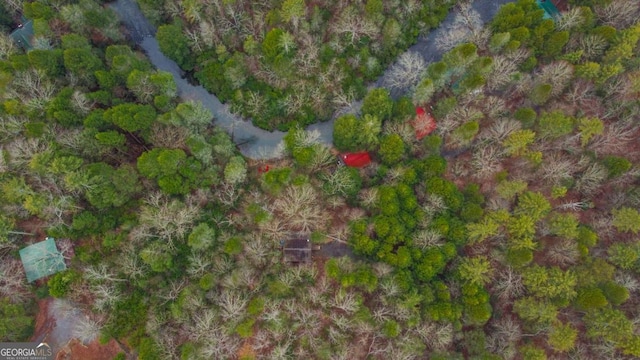 425 River Bend Ct, Ellijay, GA 30540 - aerial view of property's location