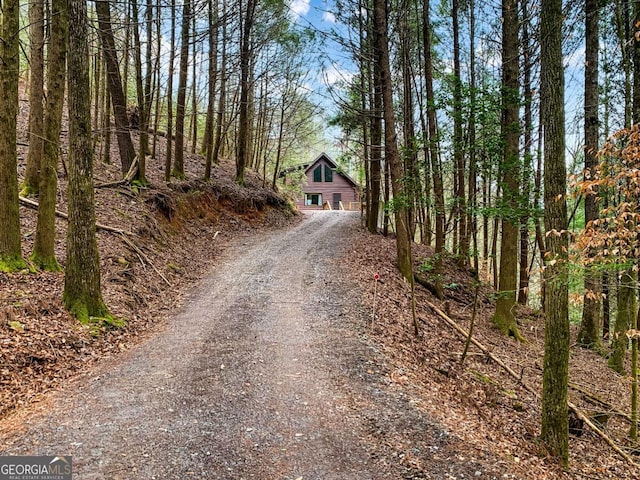 425 River Bend Ct, Ellijay, GA 30540 - view of front facade with dirt driveway