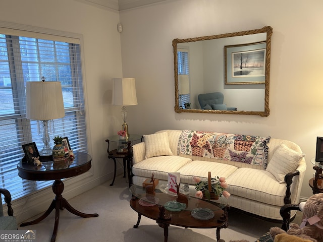 view of carpeted living room