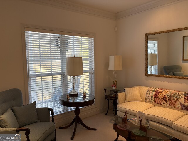 carpeted living area with crown molding