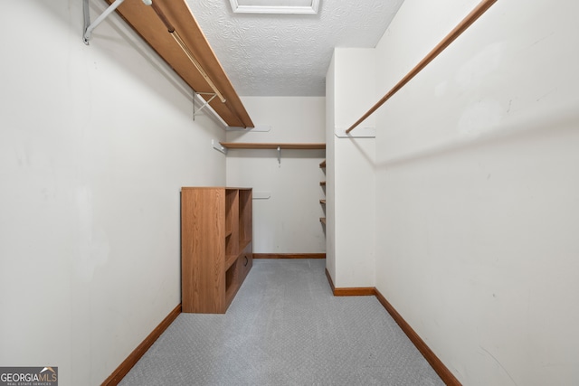 spacious closet with light carpet