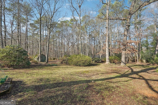 view of yard featuring a storage unit