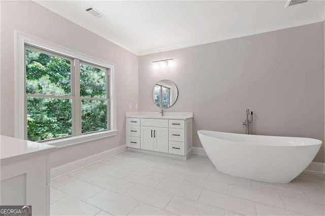 bathroom with vanity, ornamental molding, and a washtub