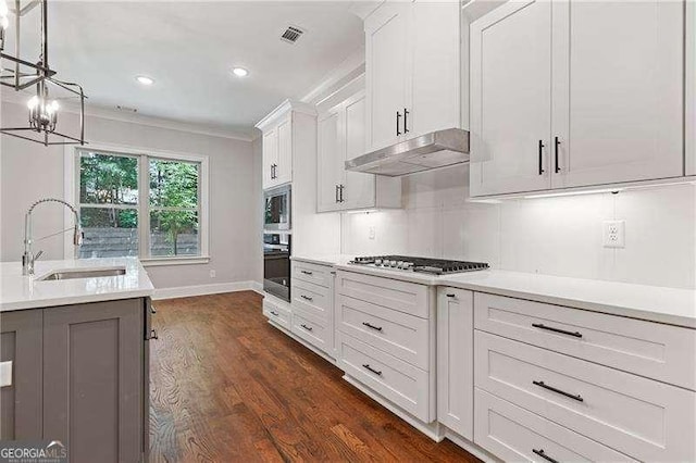 kitchen featuring dark hardwood / wood-style floors, pendant lighting, sink, white cabinets, and stainless steel appliances