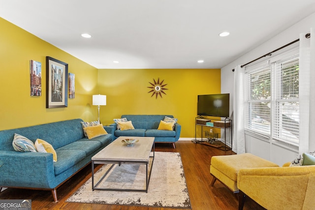 living room with dark hardwood / wood-style floors