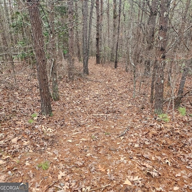 Listing photo 2 for TRACT3 Julie Hollow Rd, Young Harris GA 30582