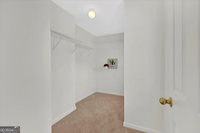 walk in closet with light colored carpet