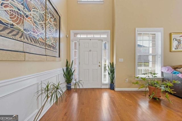 foyer featuring wood-type flooring