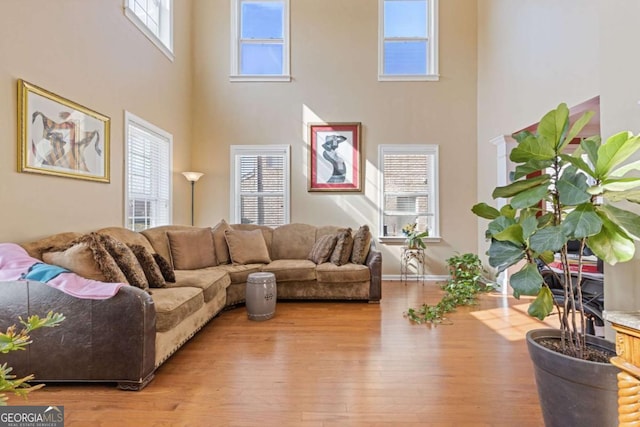 living room featuring a towering ceiling and light hardwood / wood-style flooring