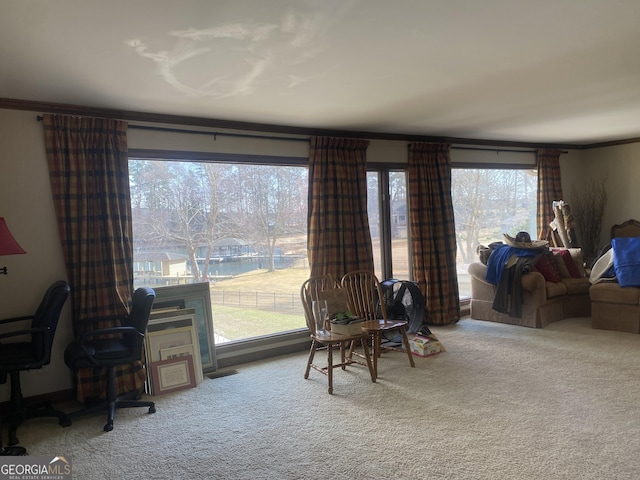 interior space featuring carpet floors