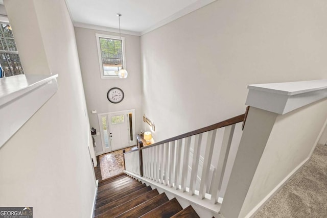 stairway with hardwood / wood-style floors and crown molding