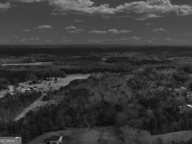 46ACRES Lamar County Line Rd, Griffin, GA 30224
