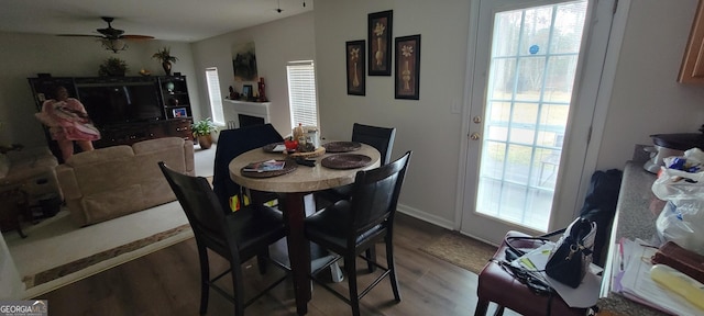 dining room featuring light hardwood / wood-style floors and ceiling fan