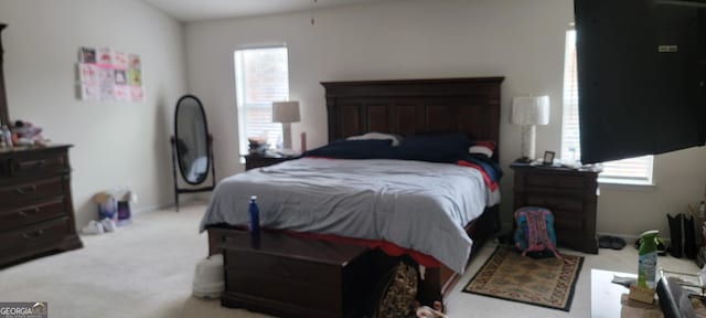 bedroom featuring multiple windows and light colored carpet