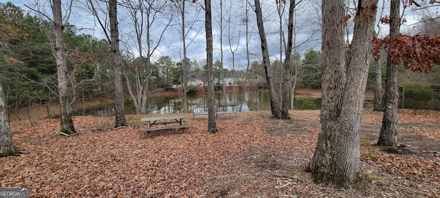 view of yard with a water view